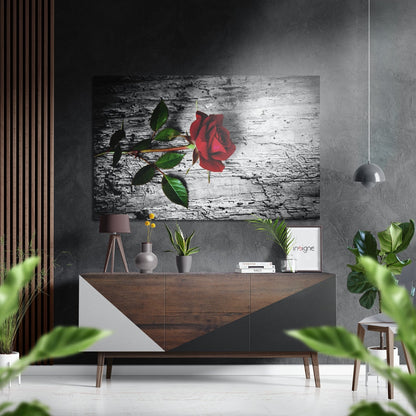 Red Rose on Weathered Wood Bark Brushed Aluminium Dibond Wall Art