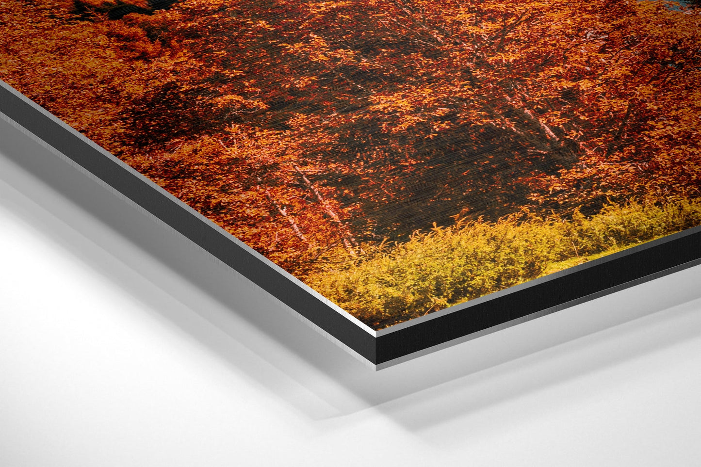 Red Pines Alpine Lake Blue Sky Brushed Aluminium Dibond Wall Art