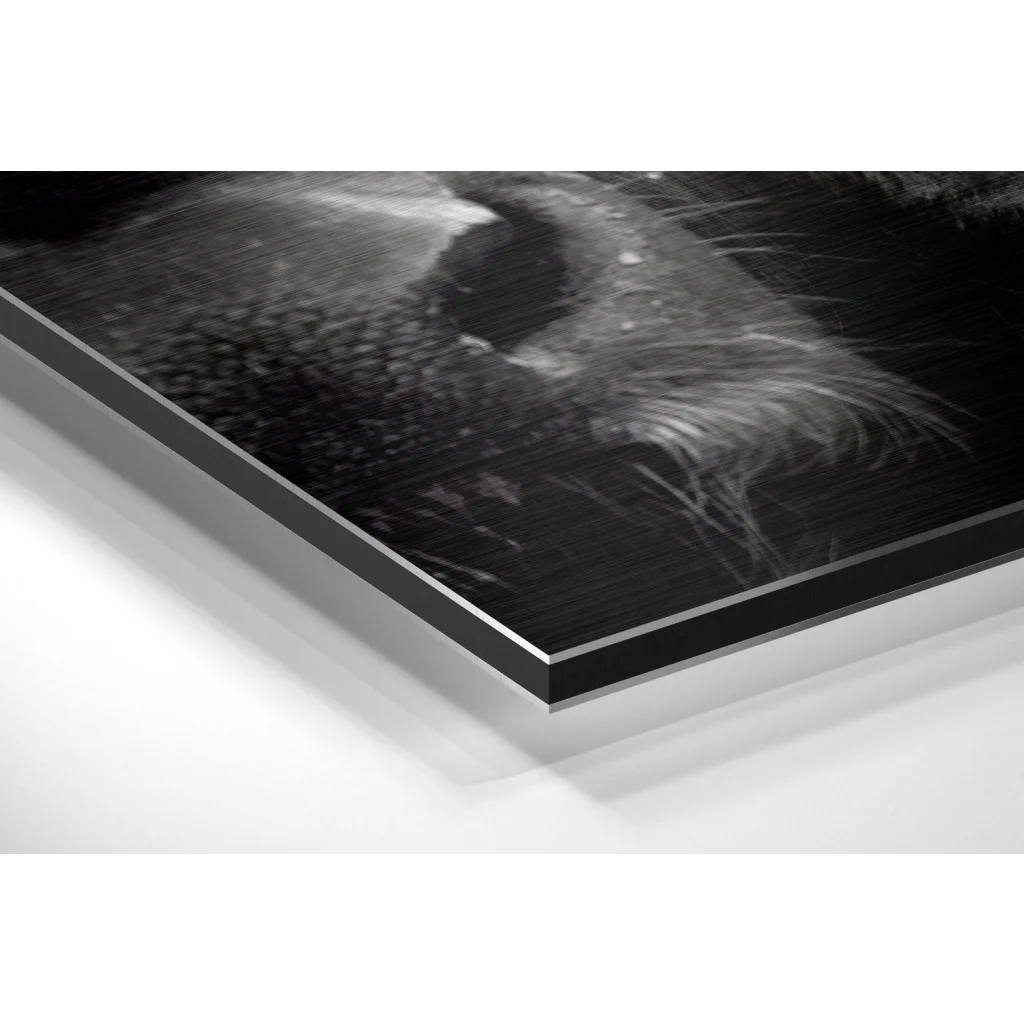 Glass Wall Art Buffalo Brushed Aluminium Dibond Wall Art