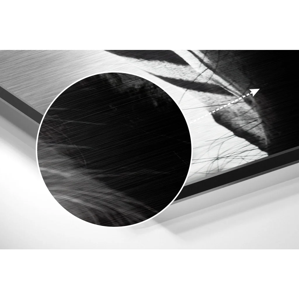 Buffalo Brushed Aluminium Dibond Wall Art