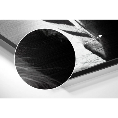 Black and white abstract art in brushed aluminium dibond frame