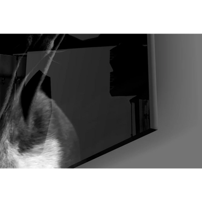 Black and white French bulldog glass wall art with textured reflections