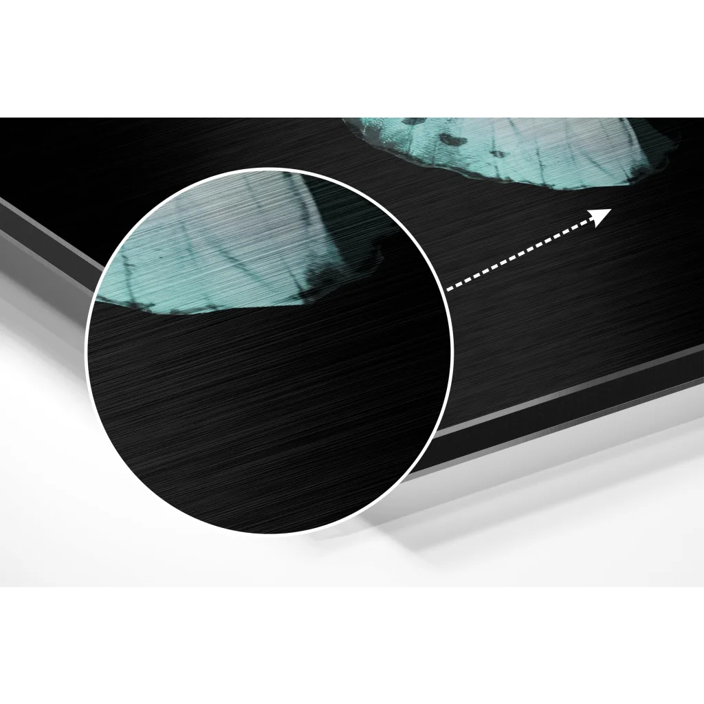 Butterfly Brushed Aluminium Dibond Wall Art