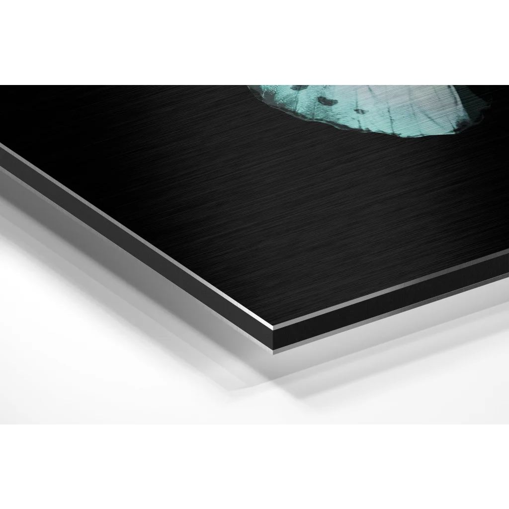 Teal butterfly brushed aluminium dibond wall art print in black frame