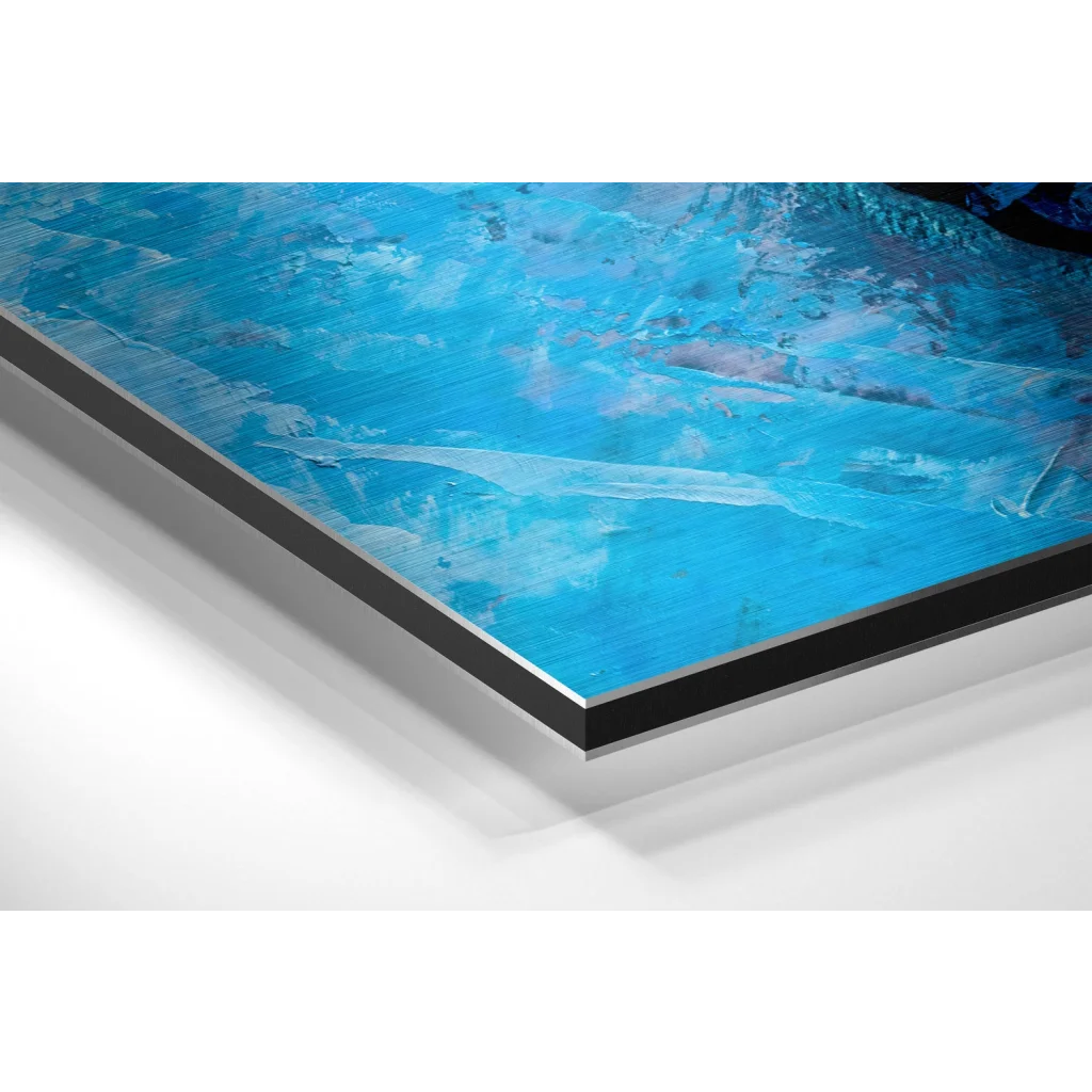 Glass Wall Art Butterfly Brushed Aluminium Dibond Wall Art