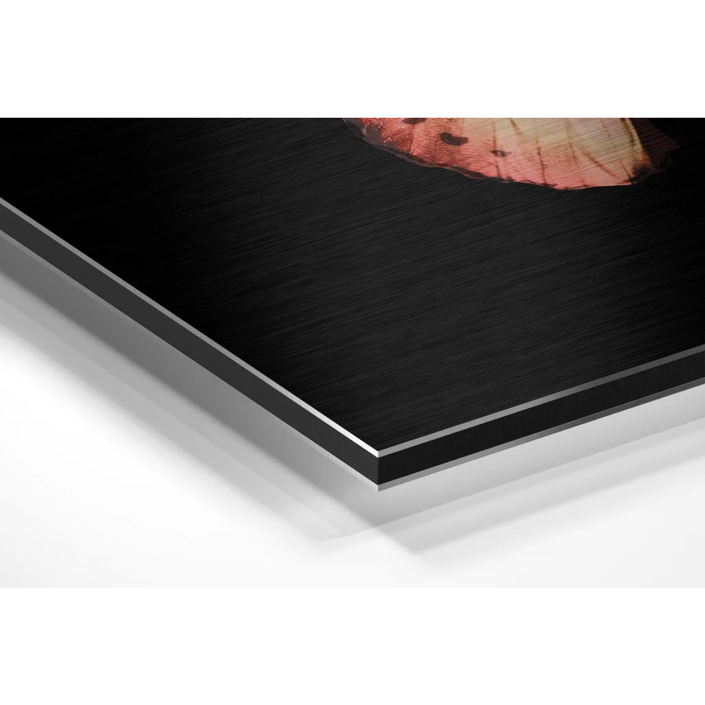 Stunning brushed aluminium dibond leaf butterfly art print with black frame