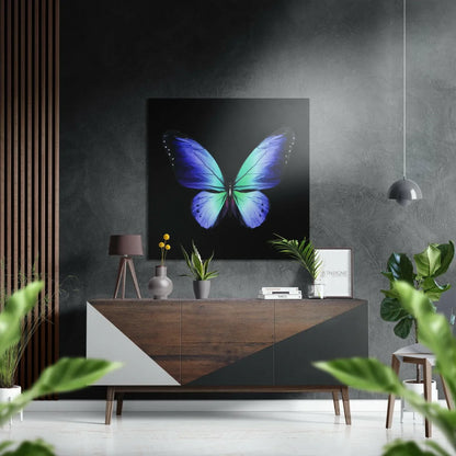 Vibrant blue butterfly on brushed aluminium dibond print