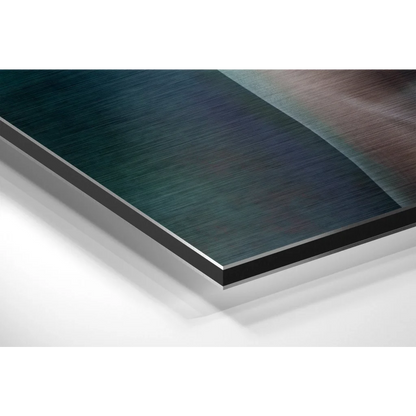 Stunning brushed aluminium dibond butterfly art print in teal to brown gradient