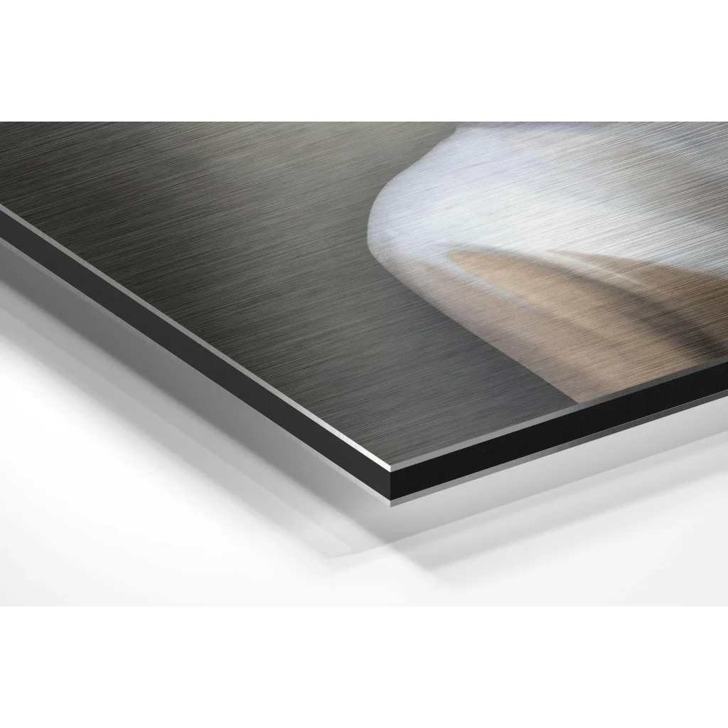 Glass Wall Art Stunning butterfly art on brushed aluminium dibond print