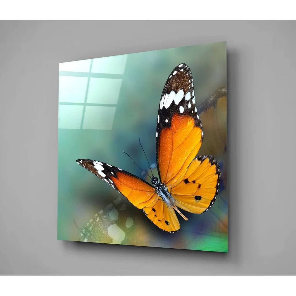 Vibrant orange black butterfly on glossy glass wall art with rainbow glow