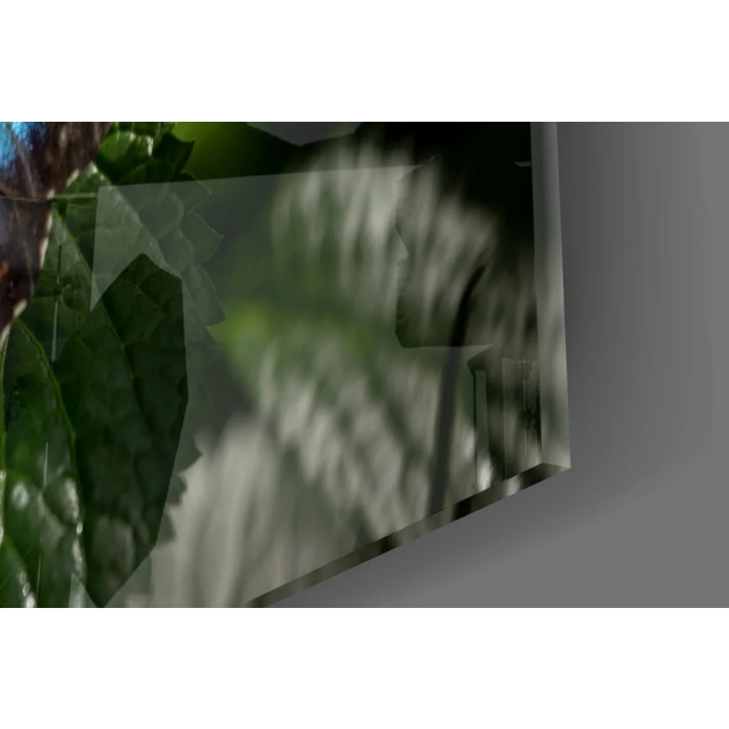 Stunning Blue Morpho Butterfly glass wall art with blurred green foliage