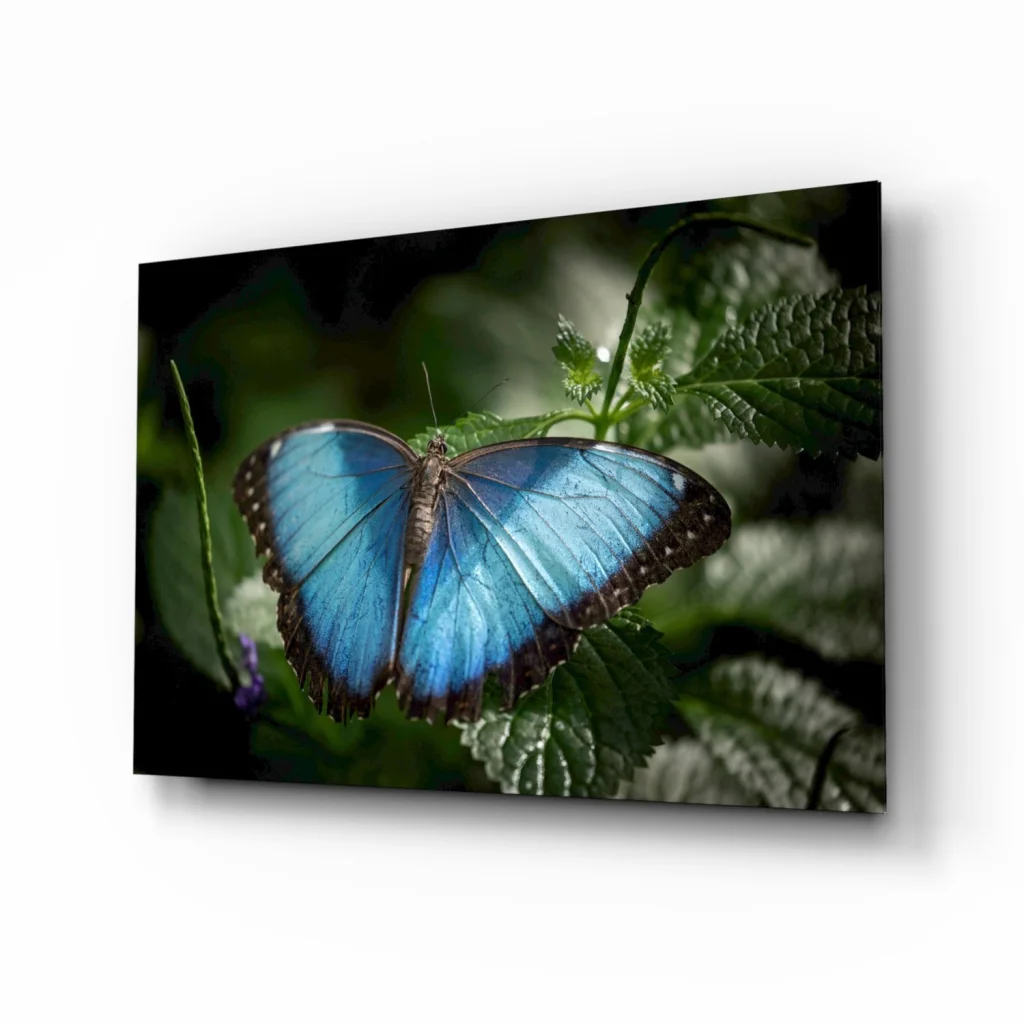 Vibrant blue morpho butterfly glass wall art canvas print