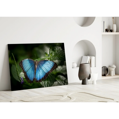 Stunning blue morpho butterfly glass wall art canvas print