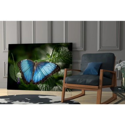 Stunning blue Morpho butterfly glass wall art canvas print on wall