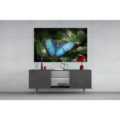 Stunning blue morpho butterfly glass wall art canvas print