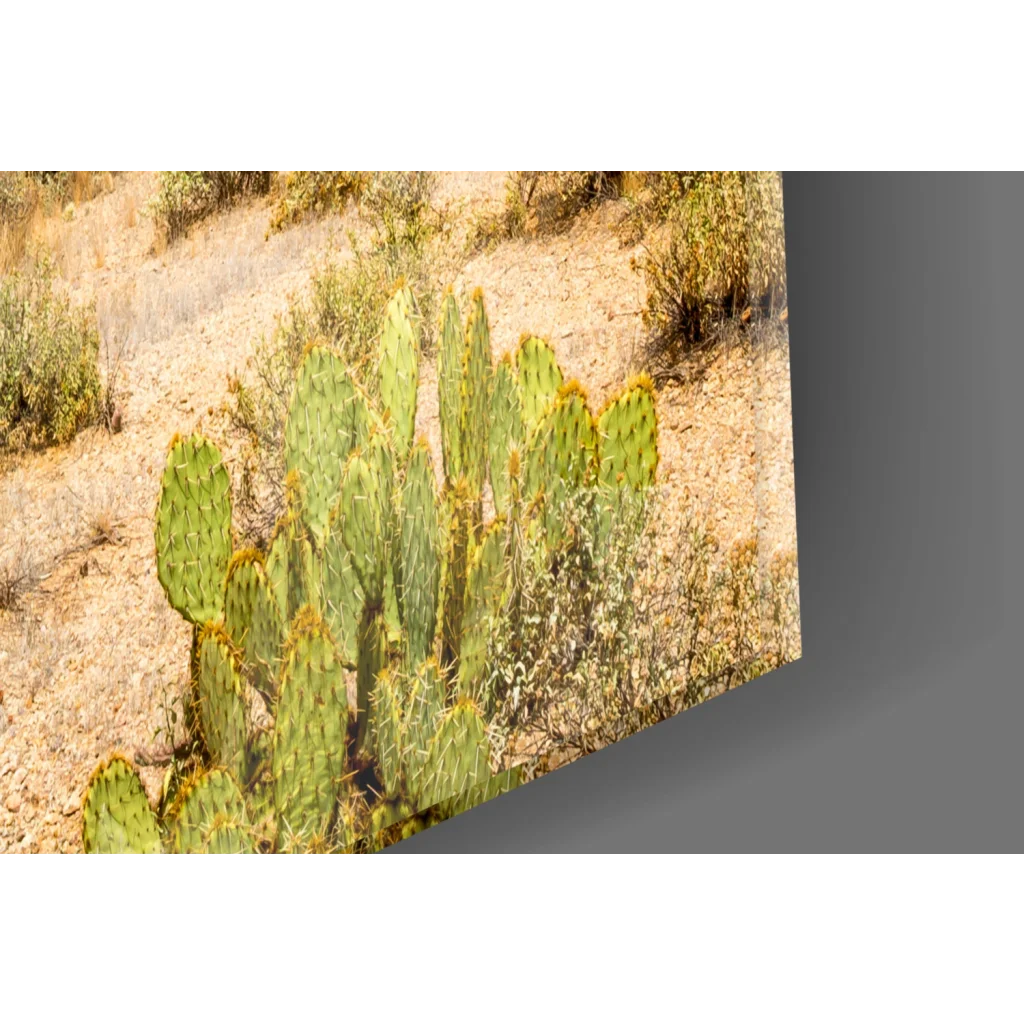 Vibrant green cactus on sleek glass wall art print for home decor