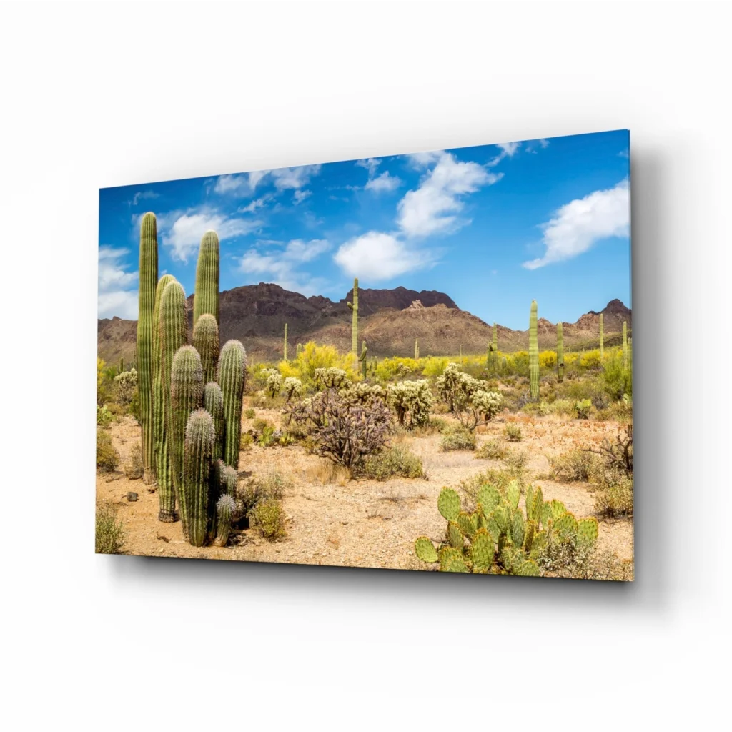 Stunning Glass Wall Art Prints for Your Home Decor | Insigneart USA | vintageantiquesgifts.com