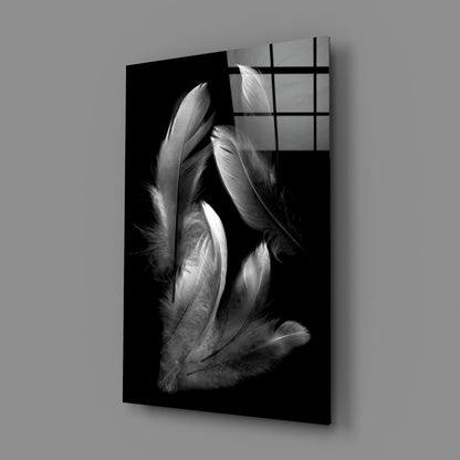 Silver Feather Cluster Black Glass Wall Art