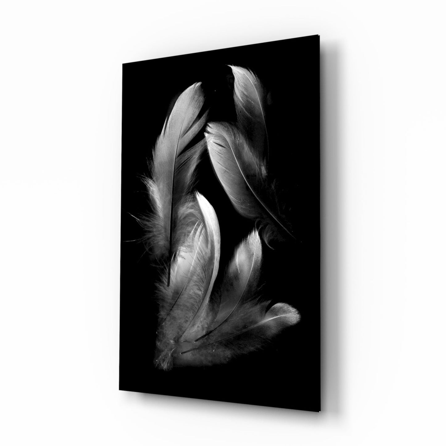 Silver Feather Cluster Black Glass Wall Art