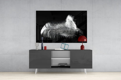 Soft White Feather Black Glass Wall Art
