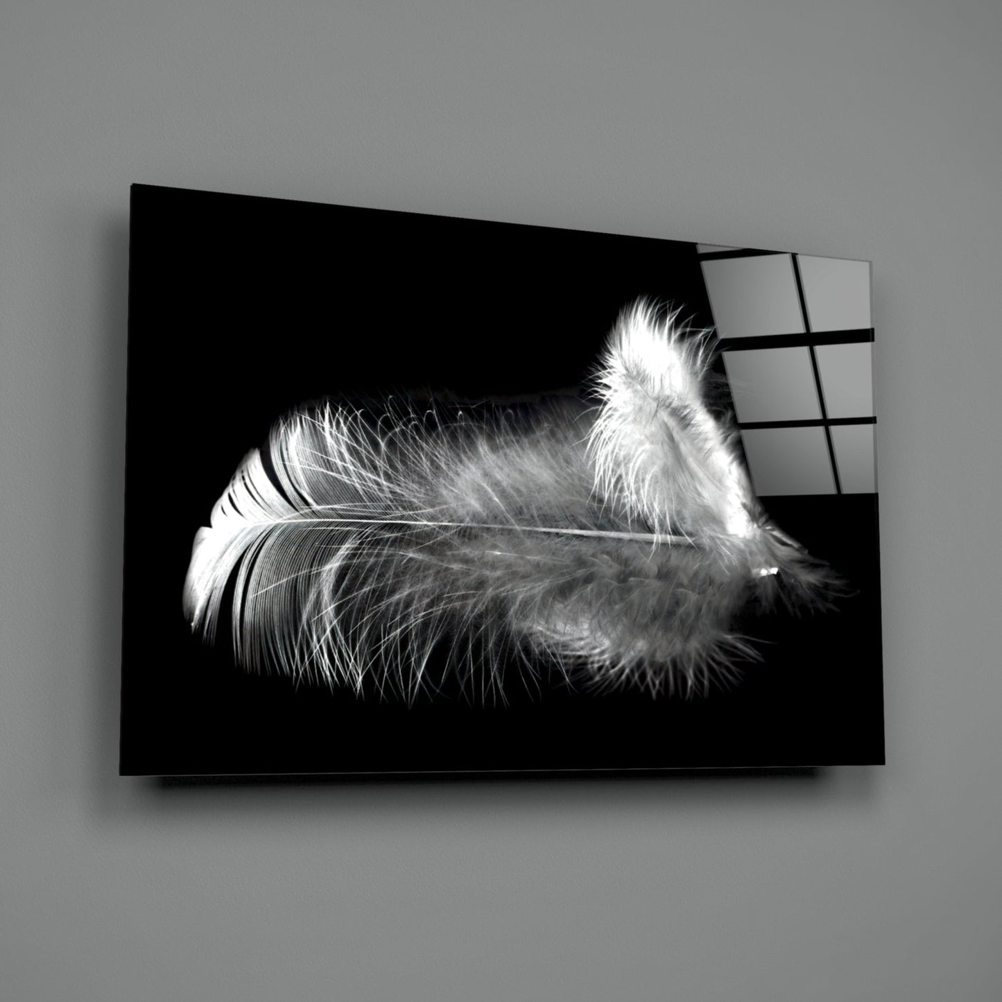Soft White Feather Black Glass Wall Art