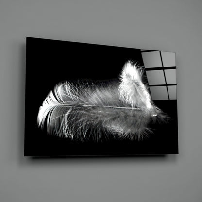 Soft White Feather Black Glass Wall Art