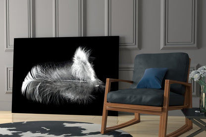 Soft White Feather Black Glass Wall Art