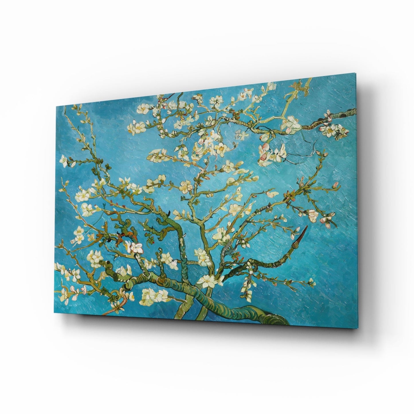 White Blossoms on Turquoise Sky Glass Wall Art