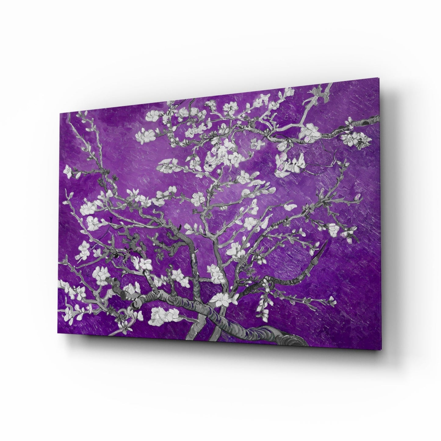 White Blossoms on Vivid Purple Glass Wall Art