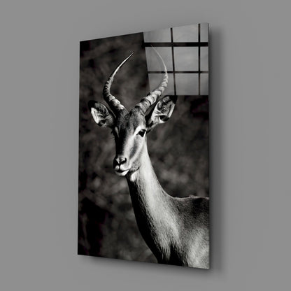 Black and White Impala Portrait Glass Wall Art