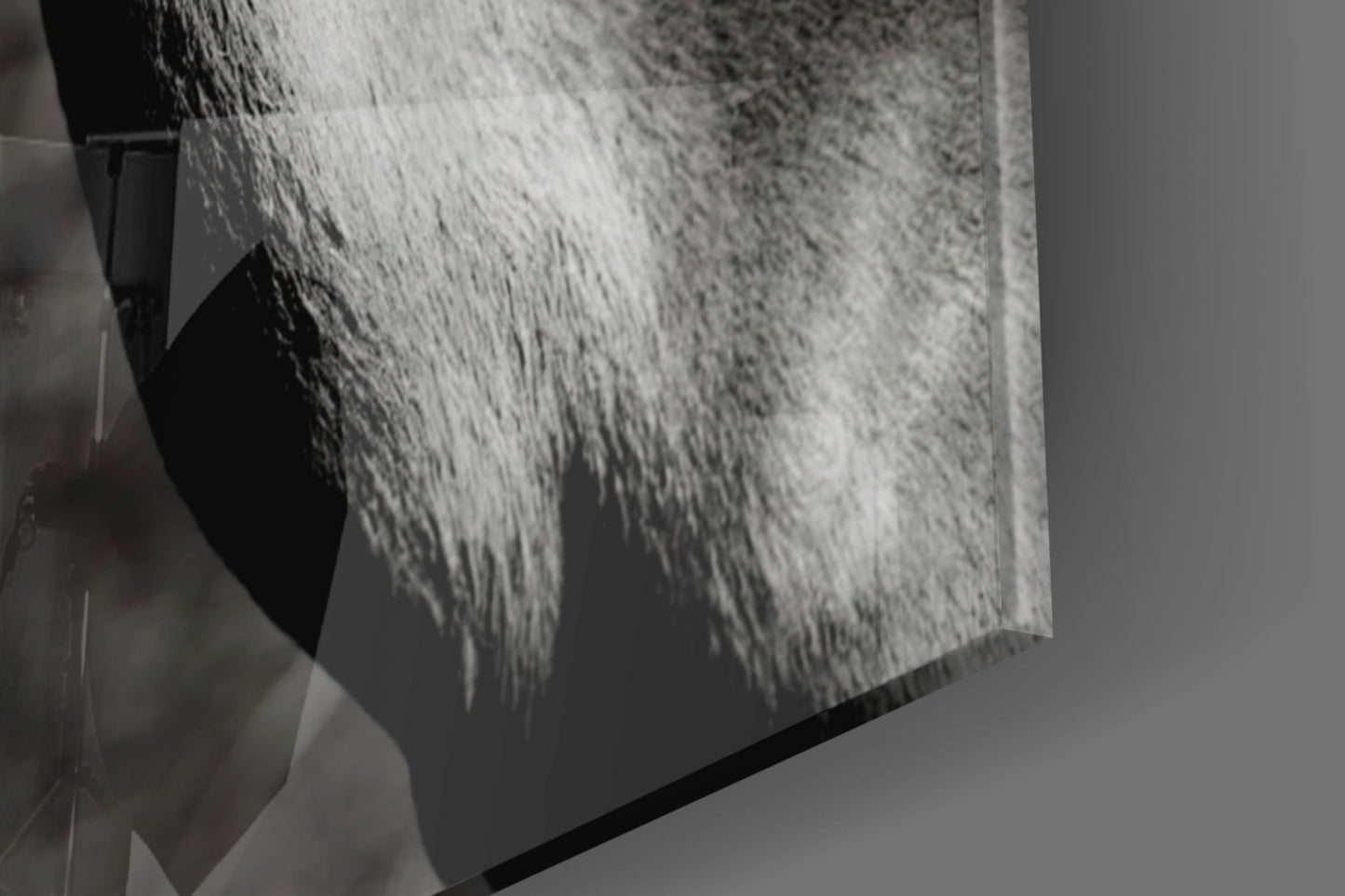 Black and White Impala Portrait Glass Wall Art