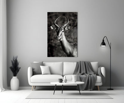 Black and White Impala Portrait Glass Wall Art