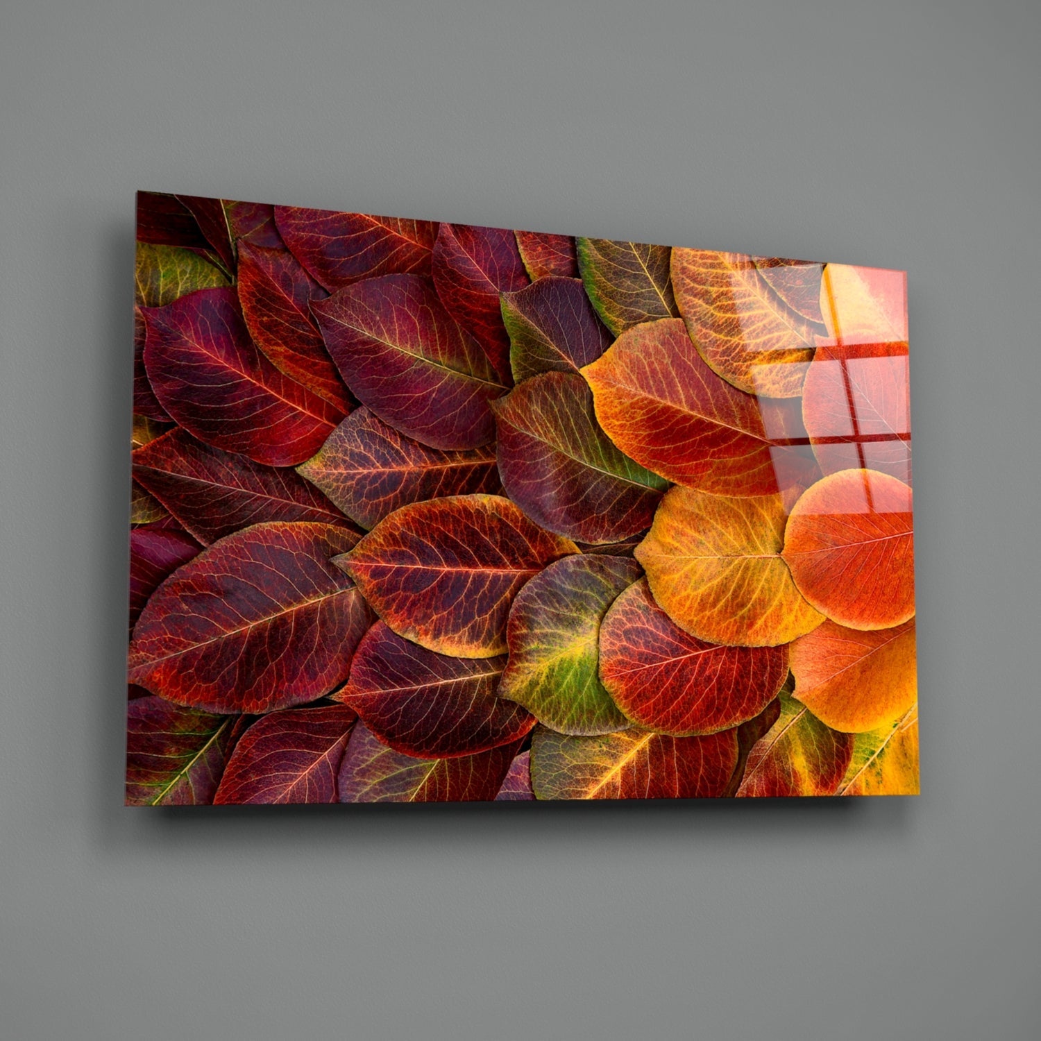 Glass wall art displaying overlapping autumn leaves in deep red, orange, and golden yellow tones mounted on gray wall.