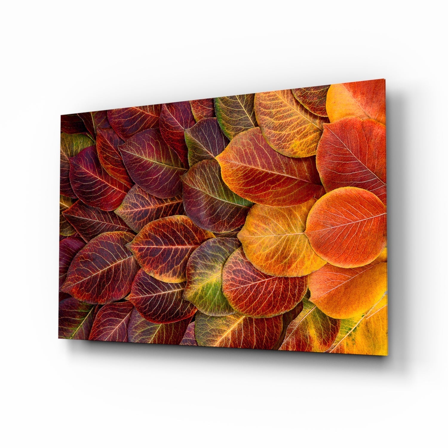 Glass wall art panel displaying a close-up arrangement of autumn leaves in red, orange, yellow, and green tones with visible veins, angled perspective view.