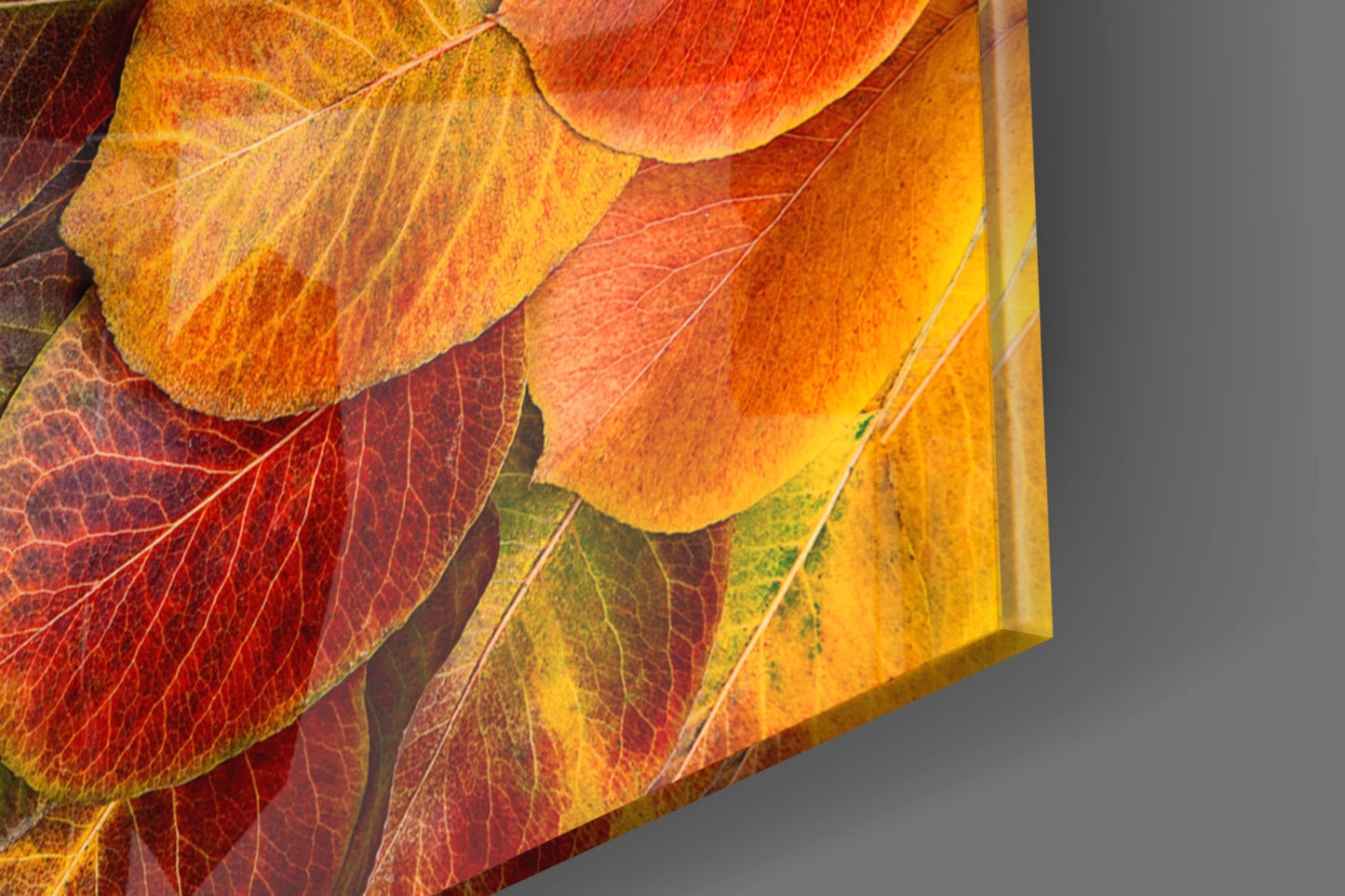 Close-up of glass wall art showing autumn leaves in red, orange, and yellow with detailed vein patterns and translucent edges.