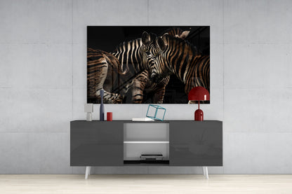 Nuzzling Zebra Pair Glass Wall Art