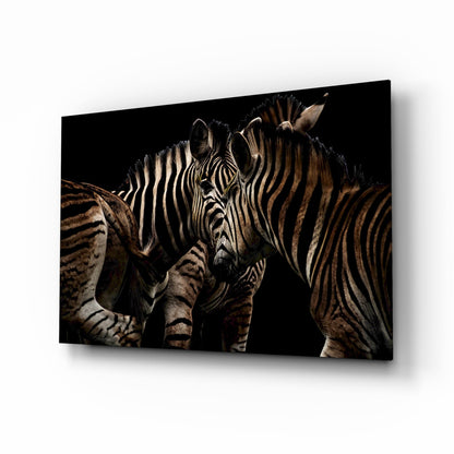 Nuzzling Zebra Pair Glass Wall Art