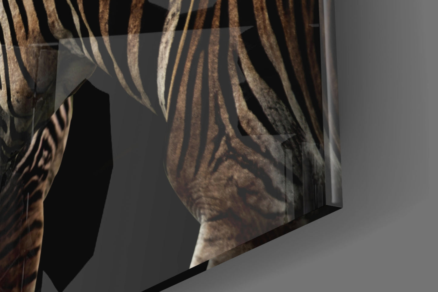 Nuzzling Zebra Pair Glass Wall Art