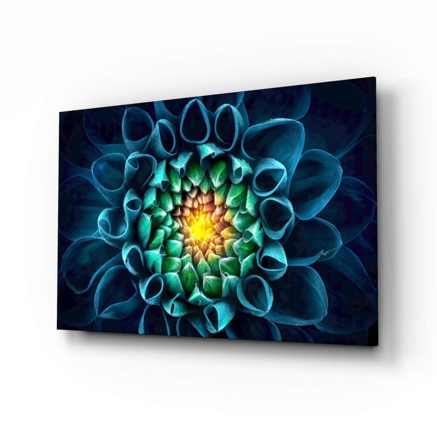Glowing Teal Dahlia Glass Wall Art
