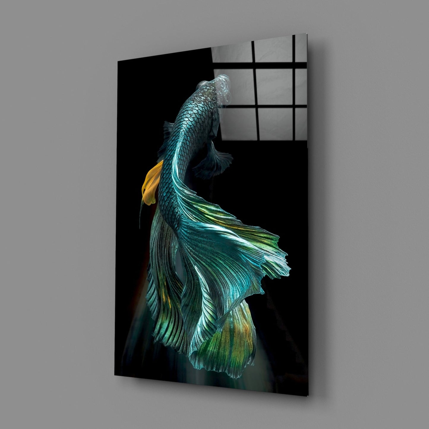 Teal and Gold Betta Fish on Black Glass Wall Art