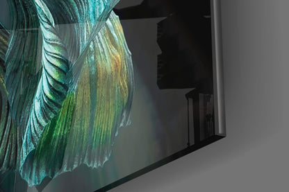 Teal and Gold Betta Fish on Black Glass Wall Art