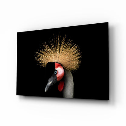 Close-up side profile of a crowned crane with golden crest, red face, and black beak on black glass panel against dark background.