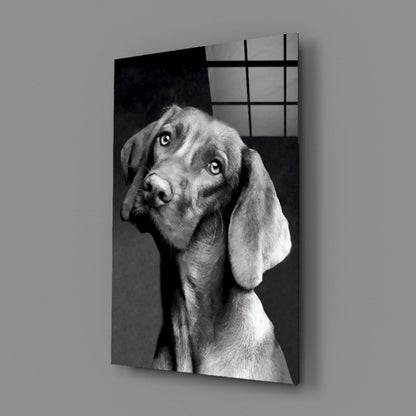 Black and white portrait of a dog with floppy ears tilting its head, printed on glass panel with grid pattern overlay.