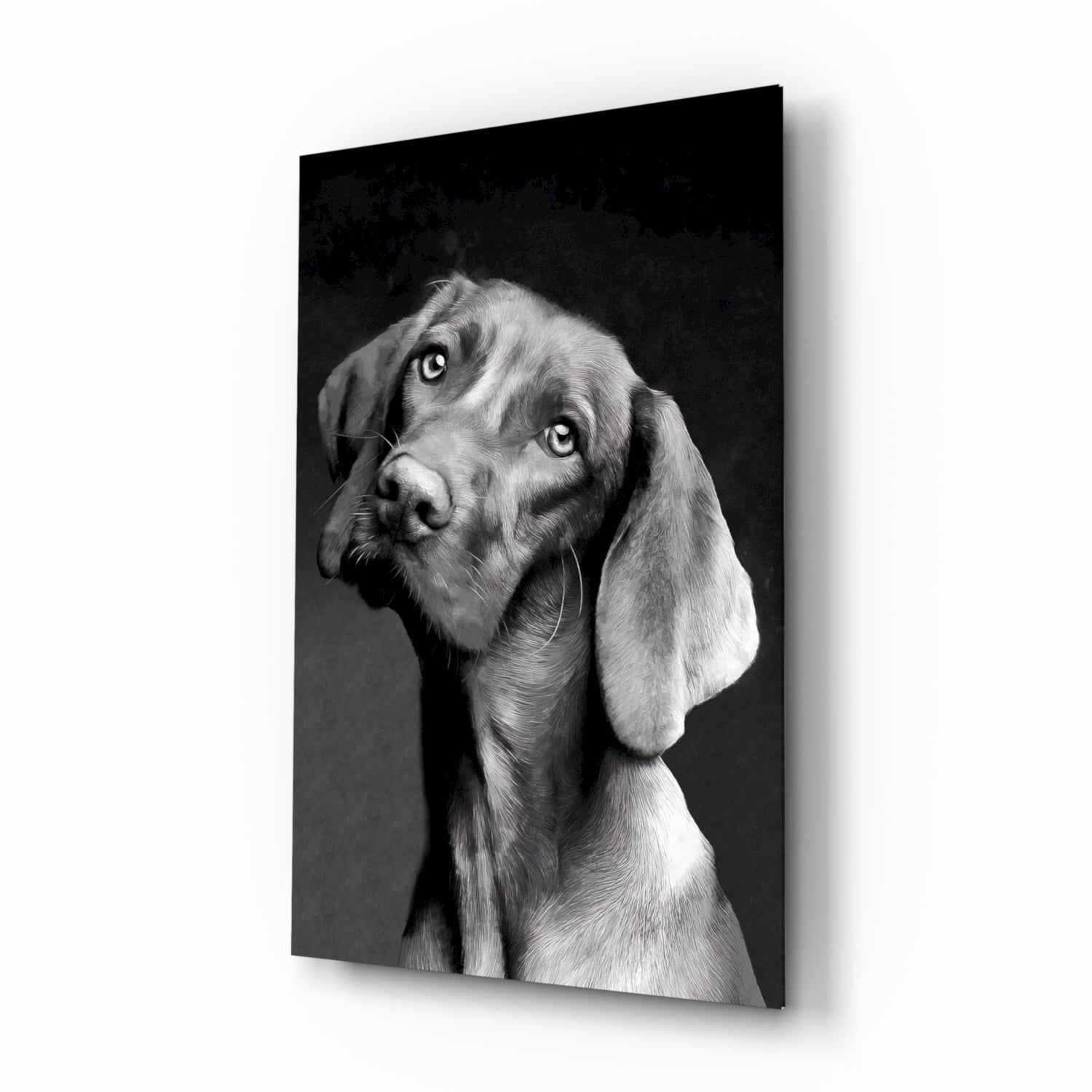 Black and white portrait of a dog with tilted head against dark background on glass wall art panel.