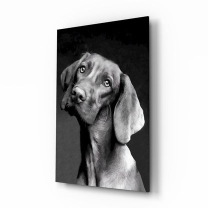 Black and white portrait of a dog with tilted head against dark background on glass wall art panel.