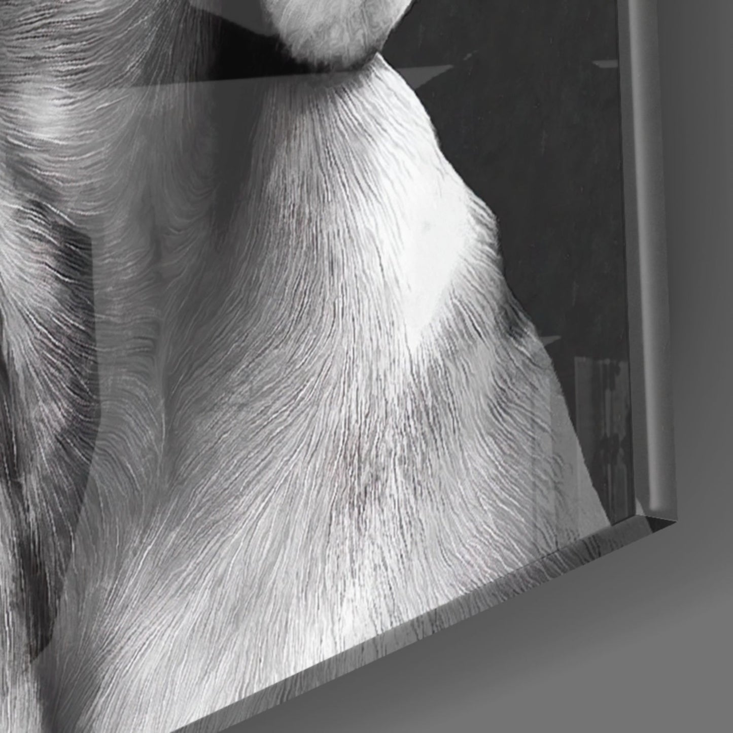Close-up of textured glass wall art showing white and gray fur detail of dog's face and chest against dark background.