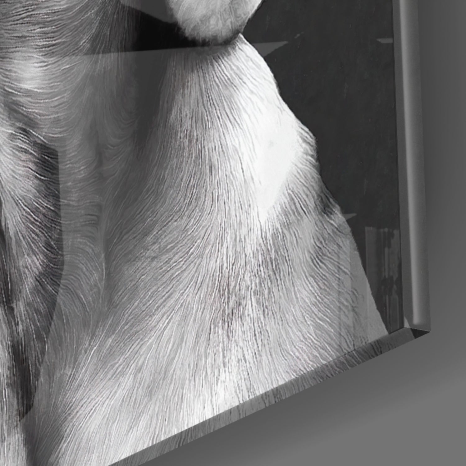 Close-up of textured glass wall art showing white and gray fur detail of dog's face and chest against dark background.