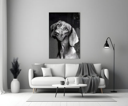 Black and white dog portrait glass wall art displayed above a white sofa in a modern living room setting.