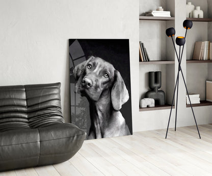 Black and white glass wall art of a dog with tilted head displayed in modern living room with leather sofa and shelving.