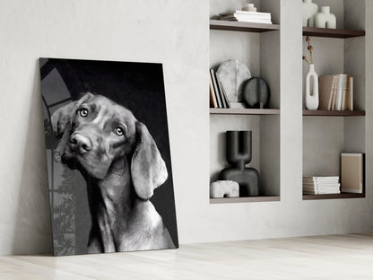 Black and white dog portrait glass wall art leaning against white wall beside wooden shelving unit.